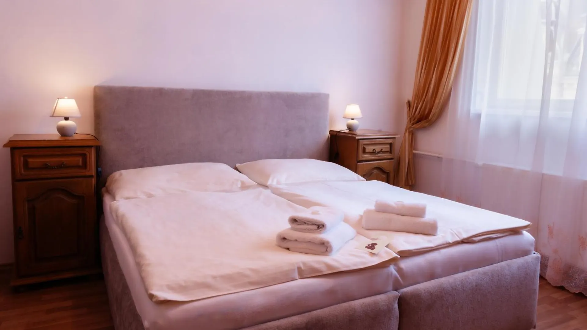 Hotel Praga Karlovy Vary